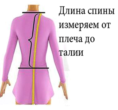 Длинна спины